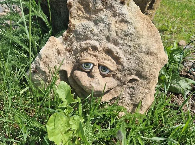 Les Feeriques Du Cheix